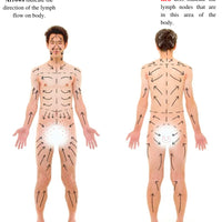 Editable Bodycontouring Manual. Resell Rights Bodycontouring Manual. With Two Bonuses