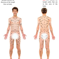BodyContouring Manual E-Book