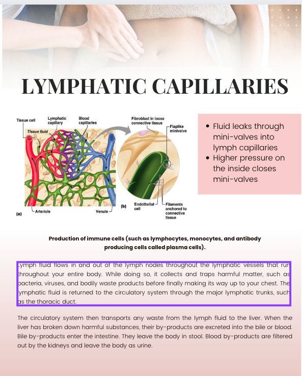 Editable Bodycontouring Manual. Resell Rights Bodycontouring Manual. With Two Bonuses