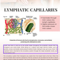 Editable Bodycontouring Manual. Resell Rights Bodycontouring Manual. With Two Bonuses