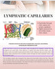Editable Bodycontouring Manual. Resell Rights Bodycontouring Manual. With Two Bonuses